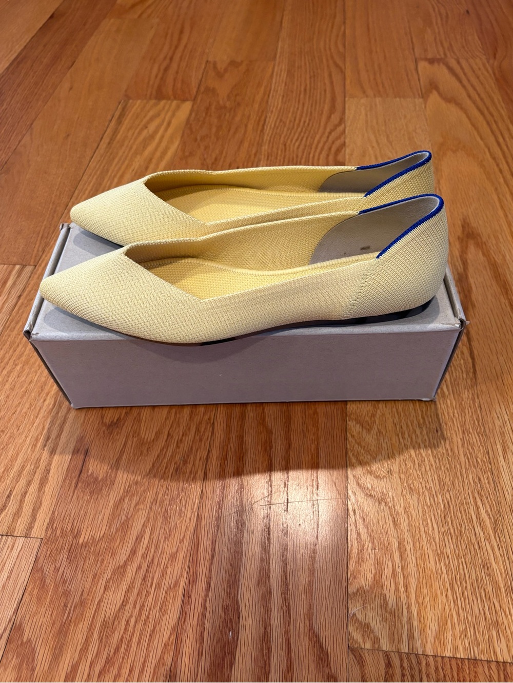 NEW IN BOX! Rothy’s The Point Flat